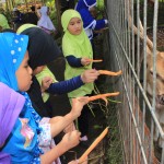 sdit-harum-jakarta-utara (11)