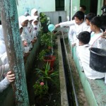 sdit-harum-jakarta-utara (29)