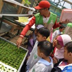 sdit-harum-jakarta-utara (32)