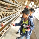 sdit-harum-jakarta-utara (33)