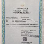 Akta Kelahiran M Bhumi Abiyasa
