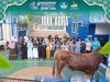 Gema Qurban SD IT HARUM